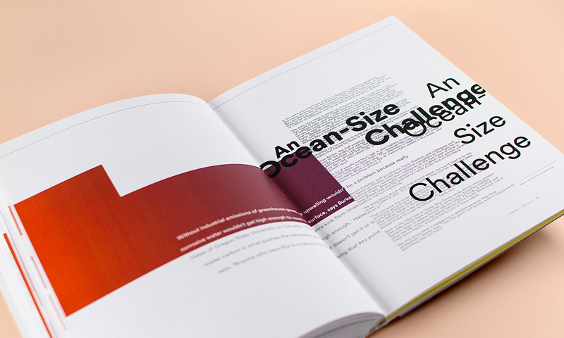 PolarBears-Thumbnail